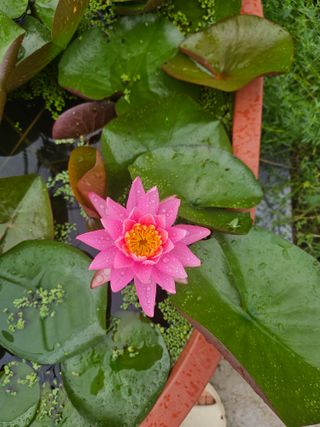 이수현님의 자유주제 · 자유게시판 작성글 사진