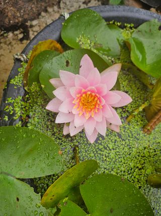 이수현님의 자유주제 · 자유게시판 작성글 사진