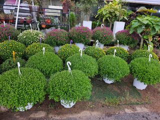 이수현님의 자유주제 · 자유게시판 작성글 사진