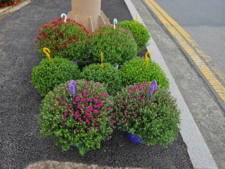 이수현님의 자유주제 · 자유게시판 작성글 사진