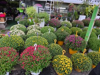 이수현님의 자유주제 · 자유게시판 작성글 사진