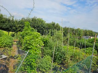 이수현님의 자유주제 · 자유게시판 작성글 사진