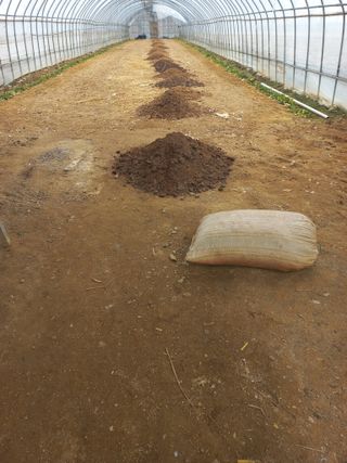 농민님의 상추 · 영농일지 작성글 사진