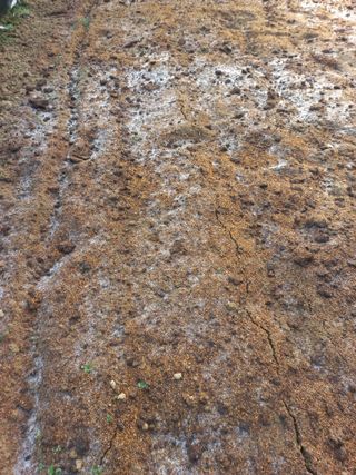 농민님의 상추 · 영농일지 작성글 사진