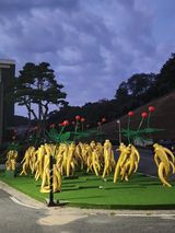 팜모닝 자유주제·자유게시판 게시글 이미지