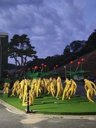 쏭이네농장(현자)님의 자유주제 · 자유게시판 작성글 사진