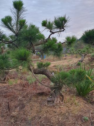 알 수 없음님의 자유주제 · 자유게시판 작성글 사진