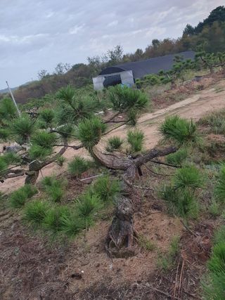 알 수 없음님의 자유주제 · 자유게시판 작성글 사진