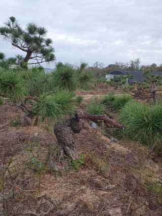 알 수 없음님의 자유주제 · 자유게시판 작성글 사진