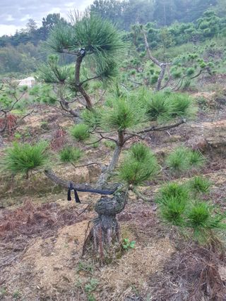 알 수 없음님의 자유주제 · 자유게시판 작성글 사진