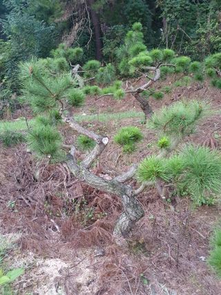 알 수 없음님의 자유주제 · 자유게시판 작성글 사진