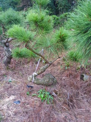 알 수 없음님의 자유주제 · 자유게시판 작성글 사진