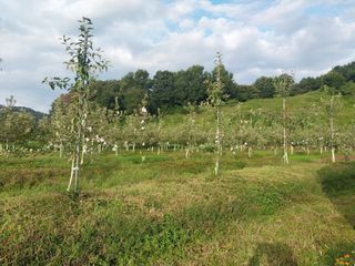 시골살이님의 자유주제 · 자유게시판 작성글 사진