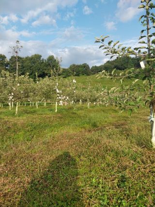 시골살이님의 자유주제 · 자유게시판 작성글 사진