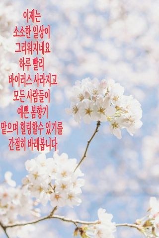안재명님의 팜모닝 · 출석 작성글 사진