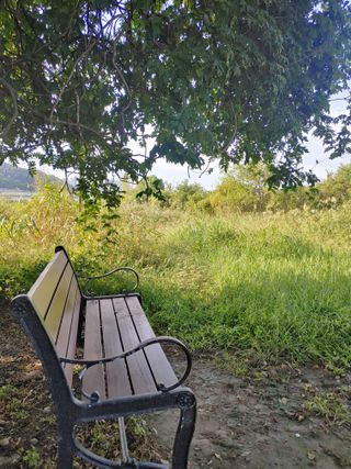 이현상님의 자유주제 · 자유게시판 작성글 사진