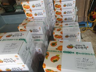 반시님의 자유주제 · 자유게시판 작성글 사진