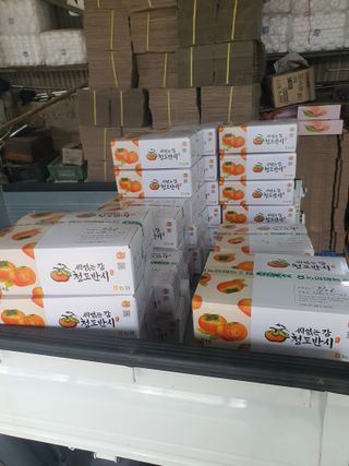 반시님의 자유주제 · 자유게시판 작성글 사진