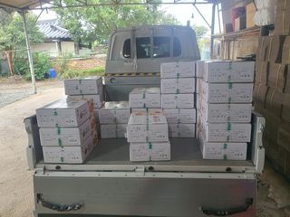 반시님의 자유주제 · 자유게시판 작성글 사진