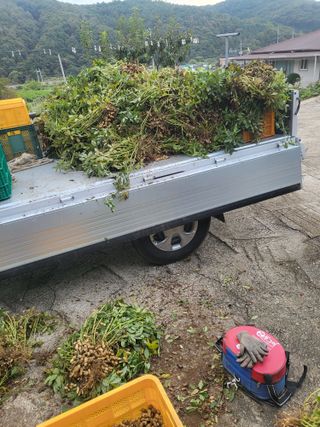 이상욱님의 기타작물 · 영농일지 작성글 사진