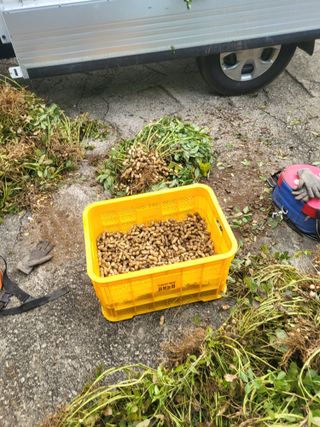 이상욱님의 기타작물 · 영농일지 작성글 사진