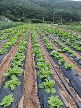 팜모닝 자유주제·사진전 게시글 이미지