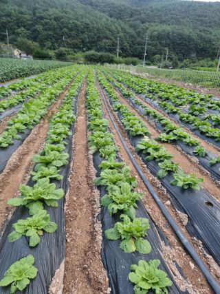 쥴리엄마님의 자유주제 · 사진전 작성글 사진