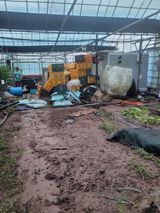 팜모닝 자유주제·자유게시판 게시글 이미지