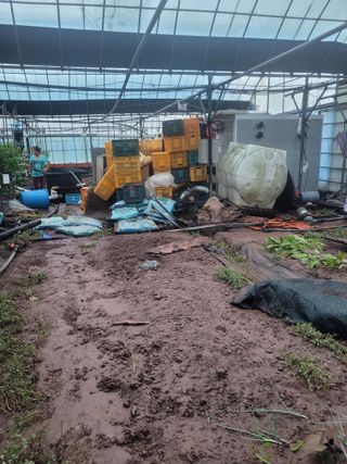 전남 장흥 장주하님의 자유주제 · 자유게시판 작성글 사진