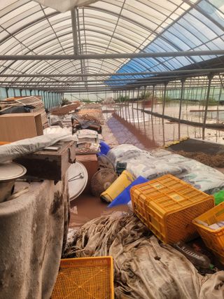 전남 장흥 장주하님의 자유주제 · 자유게시판 작성글 사진