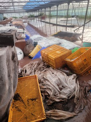 전남 장흥 장주하님의 자유주제 · 자유게시판 작성글 사진