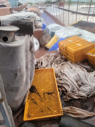 전남 장흥 장주하님의 자유주제 · 자유게시판 작성글 사진