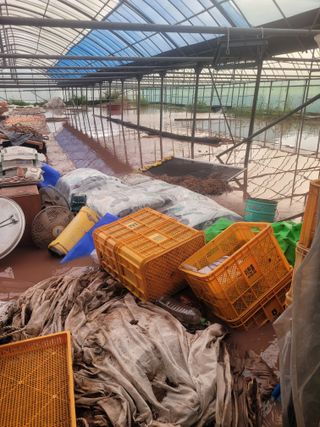 전남 장흥 장주하님의 자유주제 · 자유게시판 작성글 사진