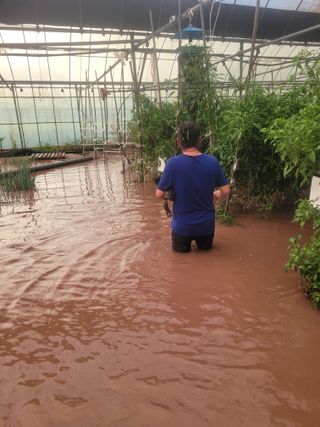 전남 장흥 장주하님의 자유주제 · 자유게시판 작성글 사진