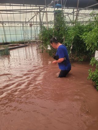 전남 장흥 장주하님의 자유주제 · 자유게시판 작성글 사진