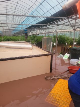 전남 장흥 장주하님의 자유주제 · 자유게시판 작성글 사진