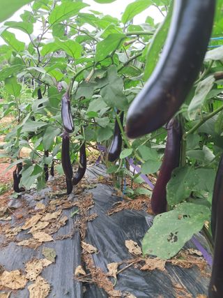 장은주님의 자유주제 · 자유게시판 작성글 사진