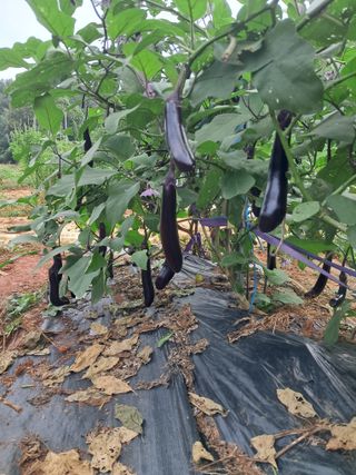 장은주님의 자유주제 · 자유게시판 작성글 사진