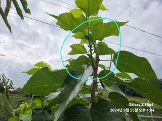 강서농장 님의 자유주제 · 자유게시판 작성글 사진