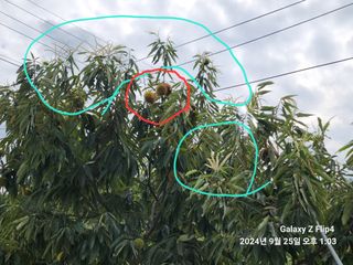 강서농장 님의 자유주제 · 자유게시판 작성글 사진