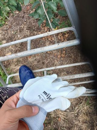 알 수 없음님의 자유주제 · 자유게시판 작성글 사진