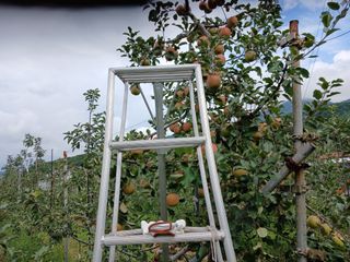 알 수 없음님의 자유주제 · 자유게시판 작성글 사진
