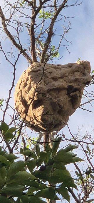이현상님의 자유주제 · 자유게시판 작성글 사진