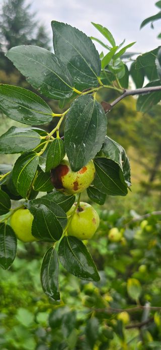 박영수님의 더운 가을, 농사 괜찮으신가요? · 참여글 작성글 사진