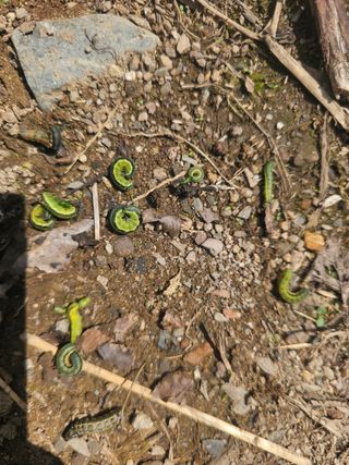 farmer님의 자유주제 · 자유게시판 작성글 사진