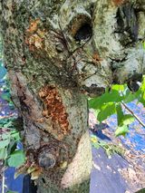 팜모닝 더운 가을, 농사 괜찮으신가요?·참여글 게시글 이미지