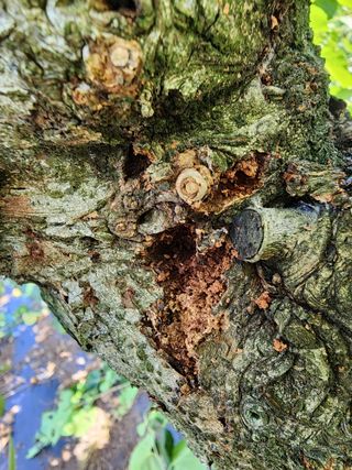 흰돌농원님의 더운 가을, 농사 괜찮으신가요? · 참여글 작성글 사진