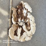 팜모닝 자유주제·건의해요 게시글 이미지