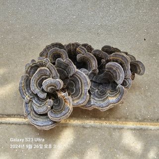 김정우님의 자유주제 · 건의해요 작성글 사진