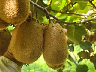 노고단님의 자유주제 · 자유게시판 작성글 사진